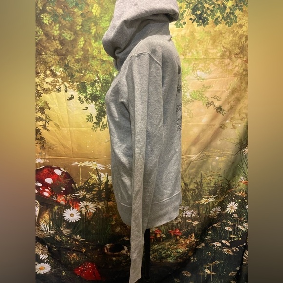 KAWS x Uniqlo x Sesame Street XX Hoodie, Size XS, US Womens, Gray, Preowned - Picture 8 of 12